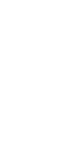  S á n c h e z