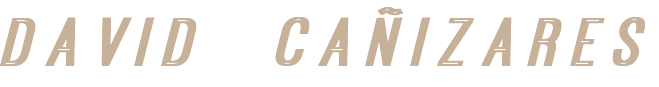 D A V I D C A Ñ I Z A R E S 